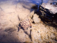 /album/fotogalerie-moje-outside-prace-/martinh-collection-outdoorphotos-august-2025-29-jpg/